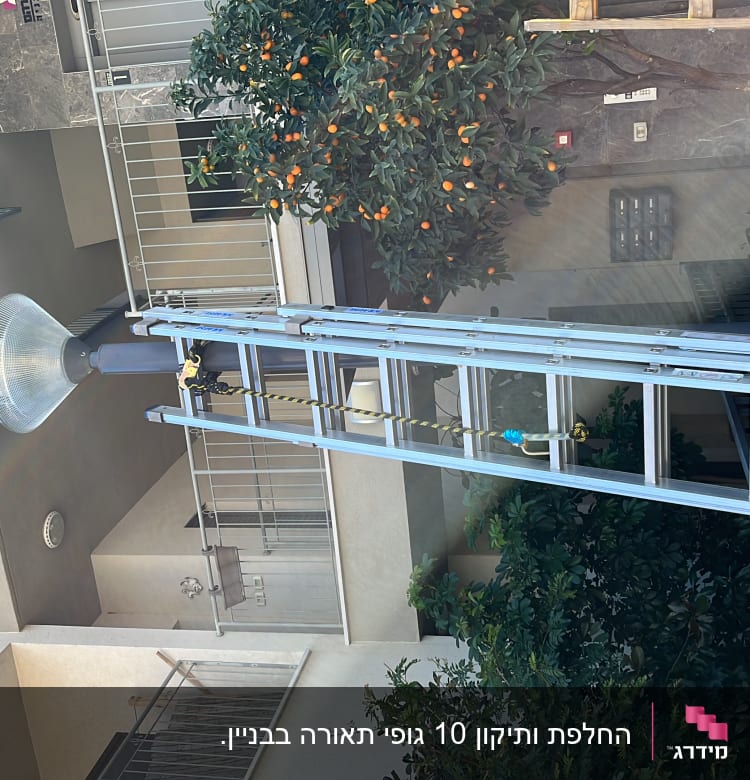 סולם מתכת ליד מנורת רחוב גדולה